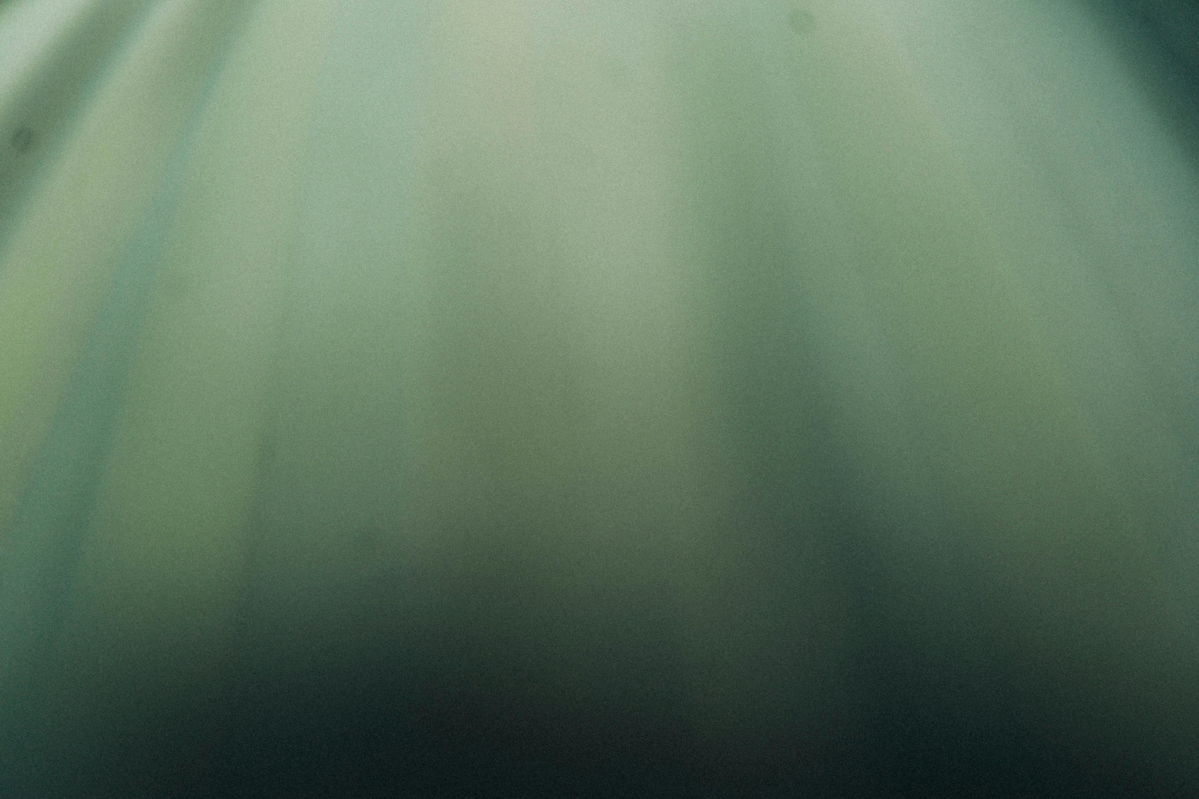 Header afbeelding